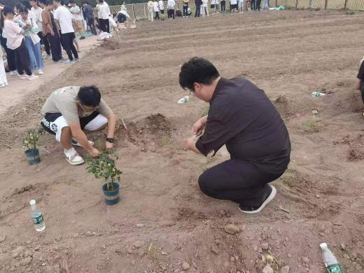 英国威廉集团官网